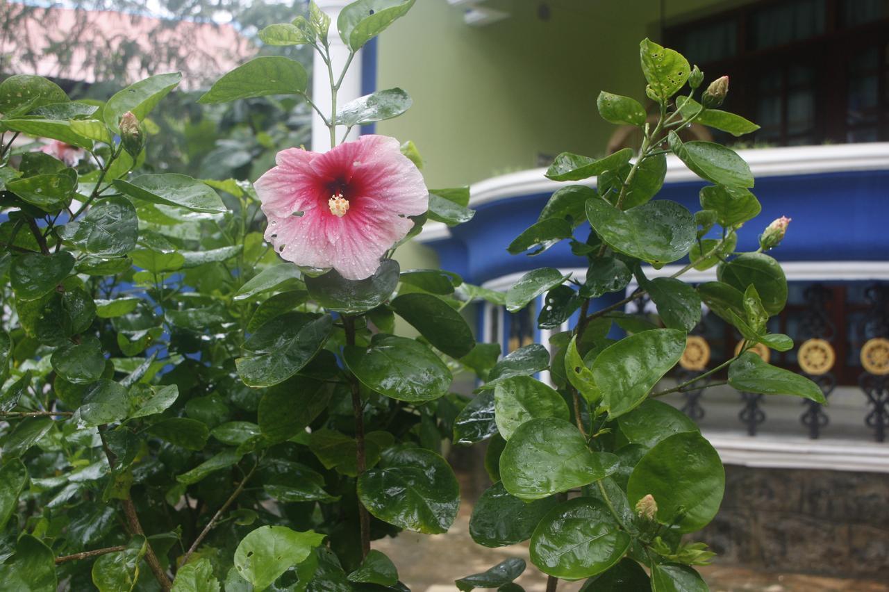 Anitha'S Garden Stay Kovalam Exterior photo