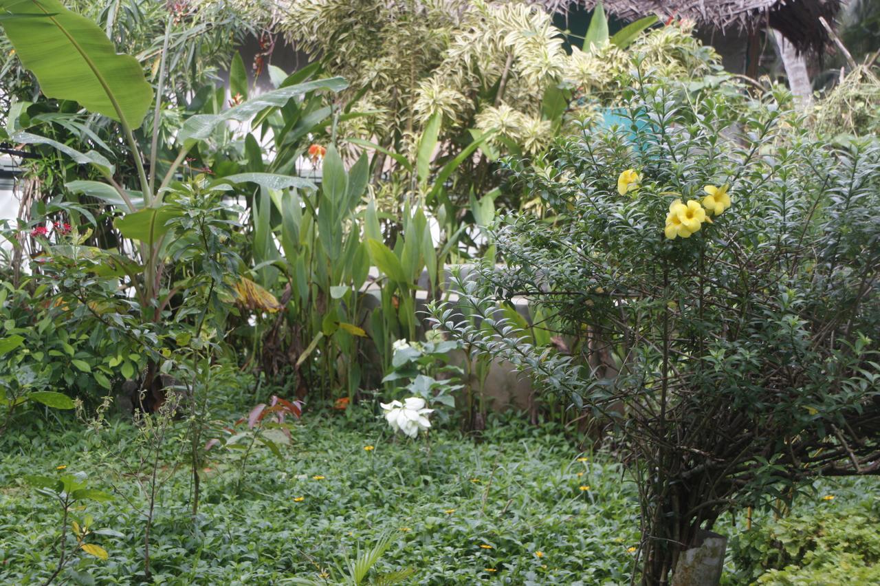 Anitha'S Garden Stay Kovalam Exterior photo